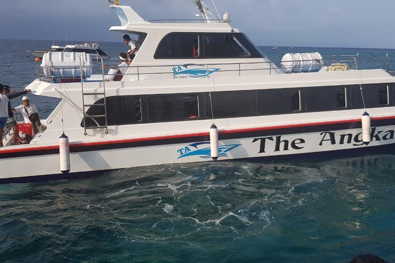 Bali: Nusa Penida Fast Boat Transfer Bali: Sanur to Nusa Penida Fastboat Transfer