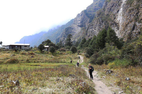 Explorando Langtang: Un viaje de 12 días desde Katmandú