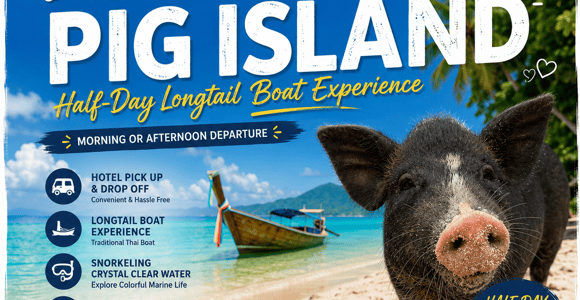 Koh Samui: Half-Day Longtail Boat Tour to Pig Island