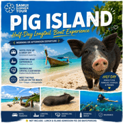 Koh Samui: Pig Island Half-Day Longtail Boat Experience