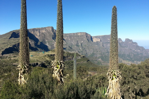 Addis Abeba: 10-dniowa wycieczka w góry Simien i Lalibela
