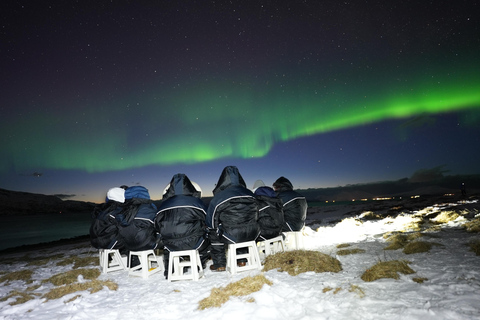 Insegui la magia dell&#039;aurora boreale a Tromsø in Norvegia