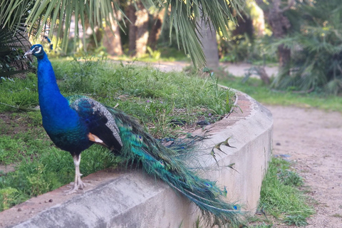 Da Salou: Parco Samá con degustazione di 1 vermouth, servizio di prelievo in hotelDa Salou: Park Samá con 1 degustazione di vermouth, servizio di prelievo in hotel