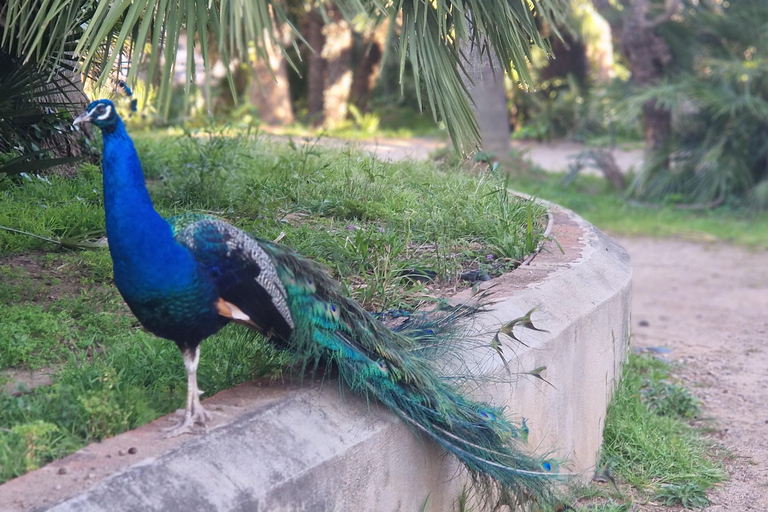 Da Salou: Parco Samá con degustazione di 1 vermouth, servizio di prelievo in hotelDa Salou: Park Samá con 1 degustazione di vermouth, servizio di prelievo in hotel