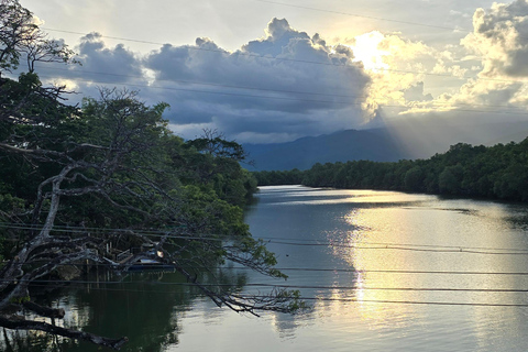 Croisière sur la rivière Iwahig Observation des lucioles