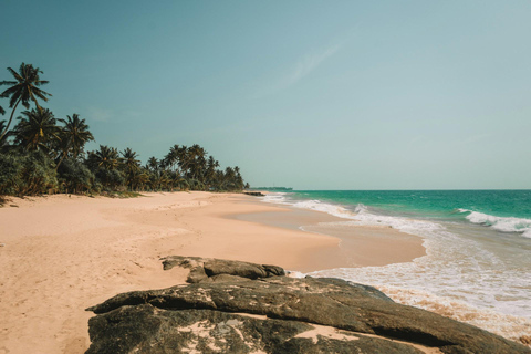 Colombo: Spice Garden Madu River, Cinnamon Island & Galle