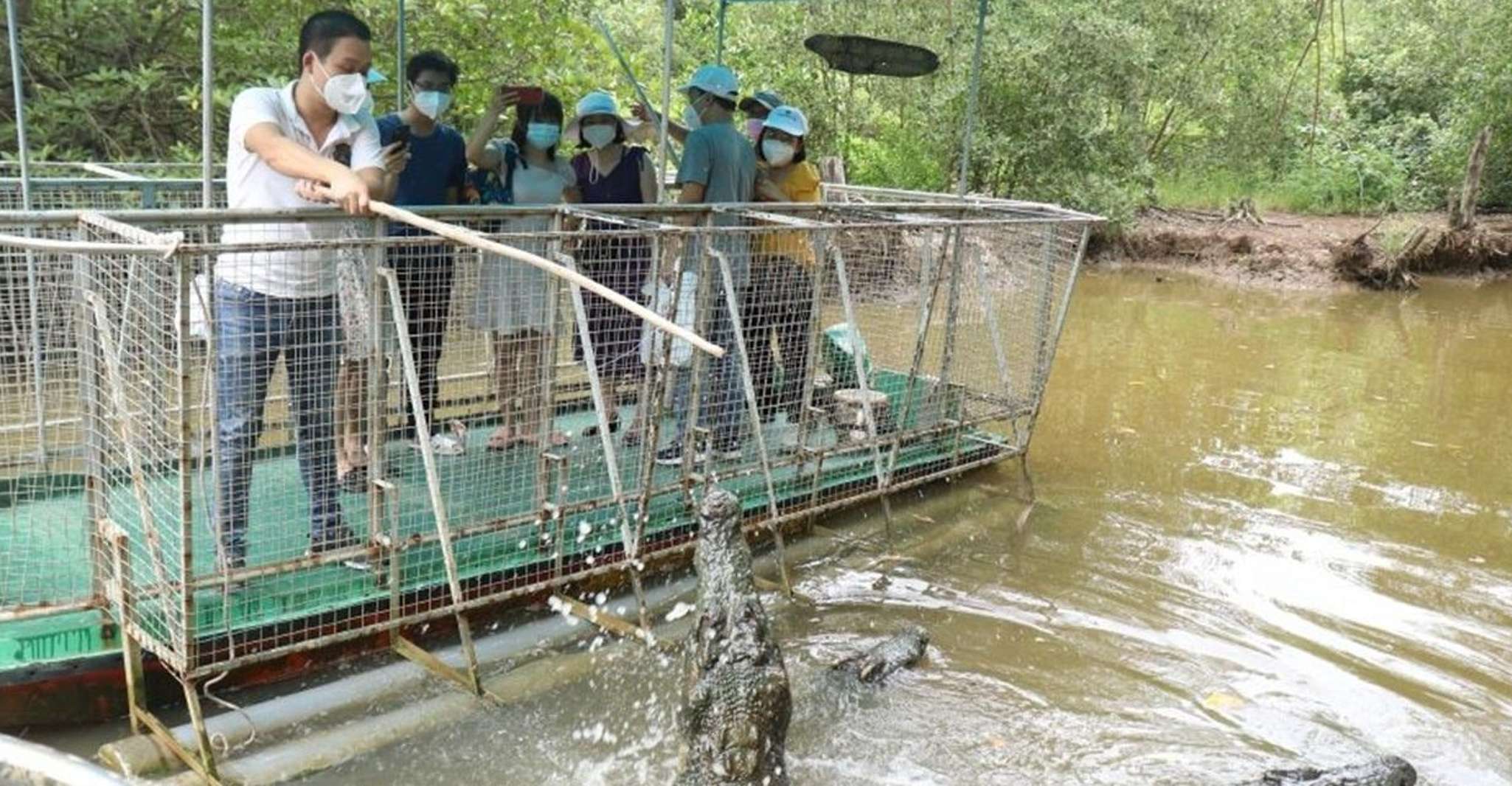 Can Gio Mangrove Biosphere Reserve 1 Day - Housity