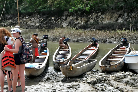 Excursión a la aldea Embera y a la selva tropical de las cataratas con almuerzo y servicio de recogidaRecogida en el Hotel Playa Bonita