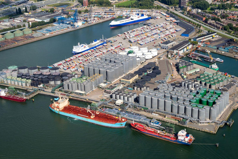 Lo Mejor de Róterdam: Visita privada a pie con un lugareñoVisita privada a pie por la ciudad - 2H