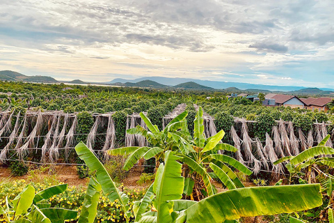 Vanuit Phnom Penh: Dagtrip Kampot en Kep met Engelse gids