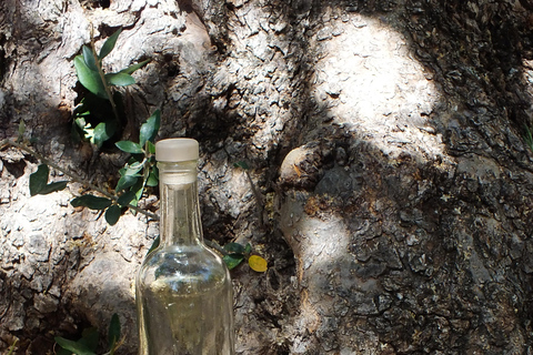 Sentier de l&#039;olivier, cours de cuisine et dégustation d&#039;huile d&#039;olive