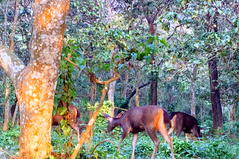 Discover Nepal: 12 Day Trekking and Wildlife Expedition