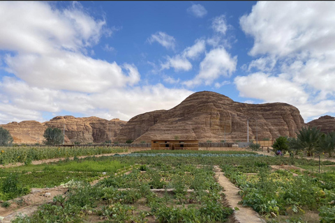 AlUla: Oasis Farm Tour and Traditional Feast with Locals