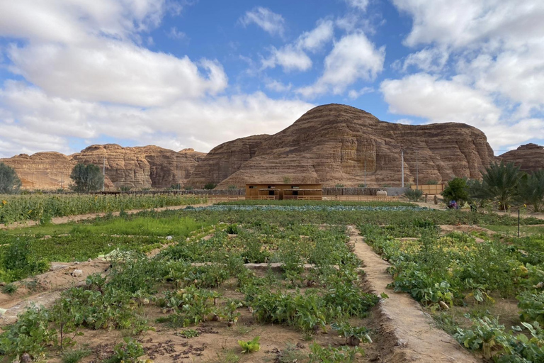 AlUla: Oasis Farm Tour and Traditional Feast with Locals