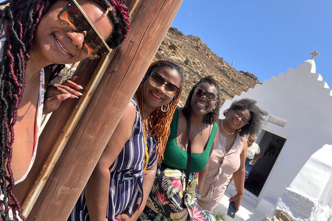 Mykonos Discovery: Private Tour with Hotel/Cruise Pickup 2 Hours Private Tour