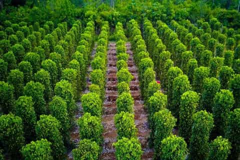 Phu Quoc: 4 days 3 nights cable car, village and Grand World - Image 3