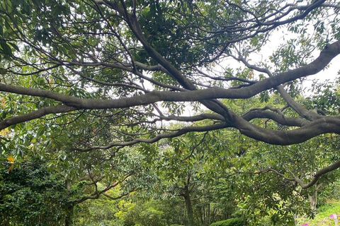 Les joyaux cachés de Jeju : Visite privée tout compris (guide certifié)