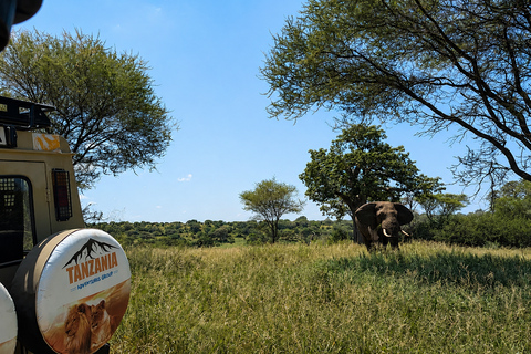 From Arusha: Tarangire Park Private Safari with Lunch