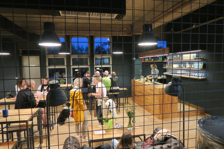 Ljubljana: Broken Bones Gin Experience with Cocktails