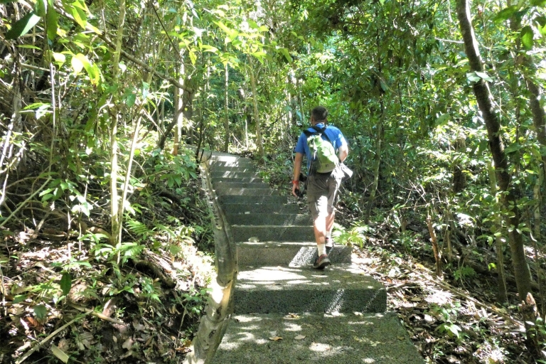 Manuel Antonio: Discover the tropical forests & white-sand