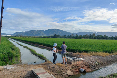 Penang: Balik Pulau Evening Cycling Tour w/ Hotel Transfers
