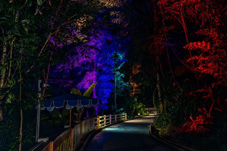 Phuket: Hanuman Luge Night Exclusive with Transfer or Dinner Luge 2 Rides + Dinner + Skywalk OR Luge Phone Head Mount