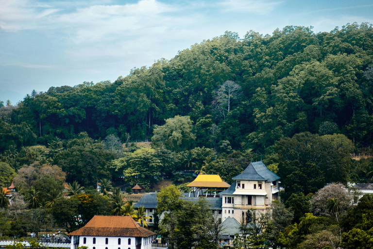 Visite de Colombo à Kandy, Pinnawela et la fabrique de thé