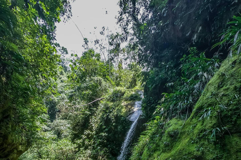 Embrace the Beauty of Alto Shambillo