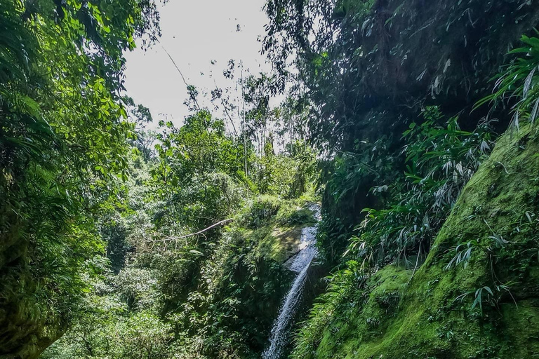 Embrace the Beauty of Alto Shambillo