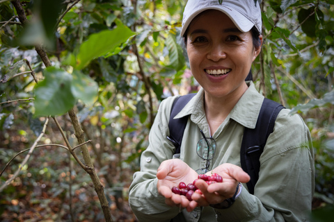 Luang Prabang: Coffee Farm Tour with Roasting & Workshop
