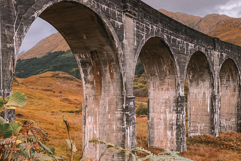 From Edinburgh: Glenfinnan, Fort William and Highland Cows