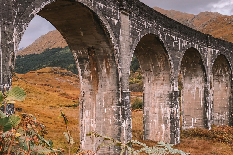 From Edinburgh: Glenfinnan, Fort William and Highland Cows
