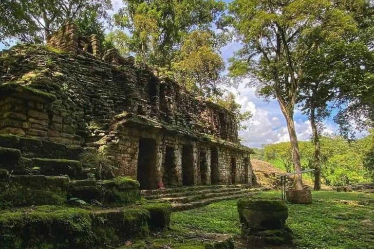 Hike in the Lacandon Jungle with a Lacandon tour guide