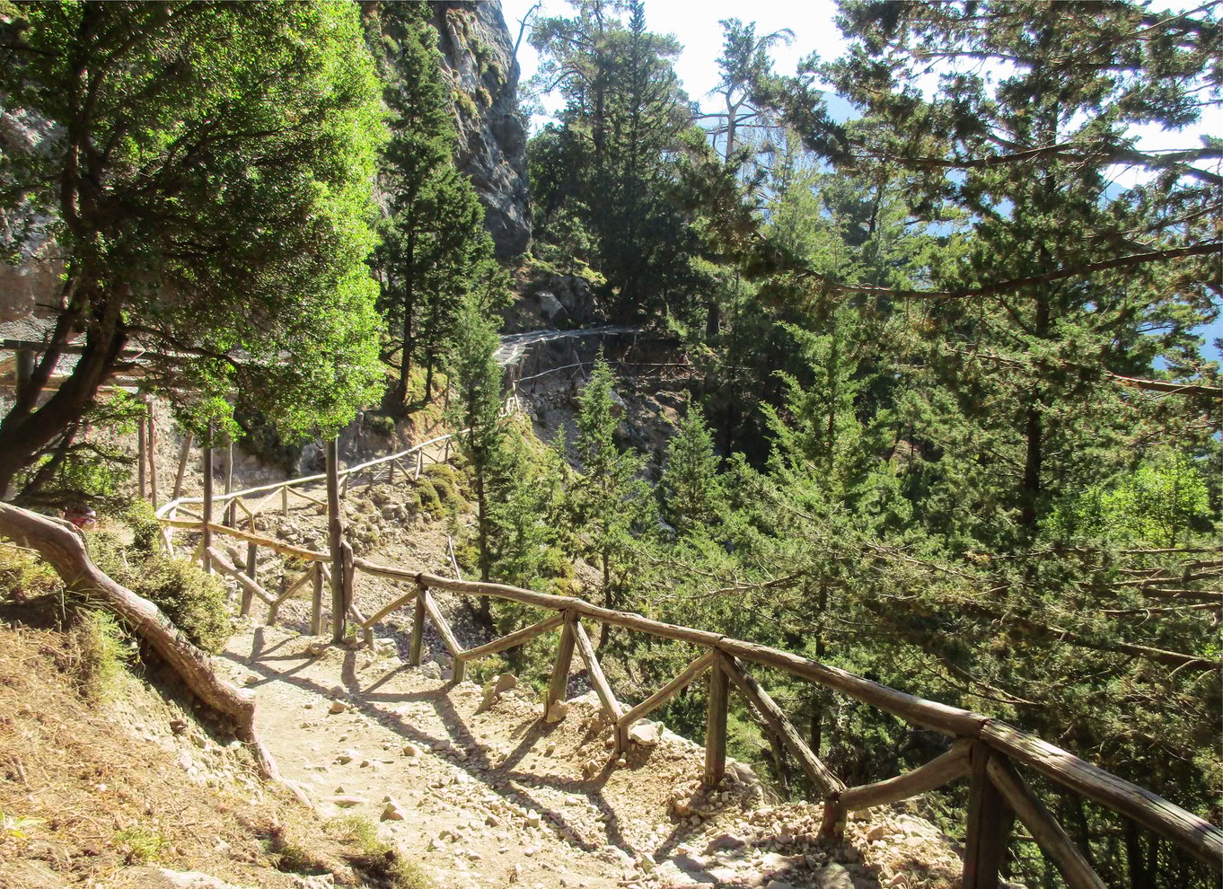Fra Chania: Heldagsudflugt i Samaria-kløften med guide