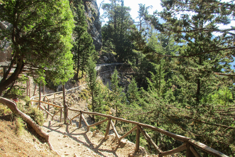 Desde La Canea: excursión de 1 día a la garganta de SamariaGarganta Samaria: excursión desde Kalyves o Almyrida