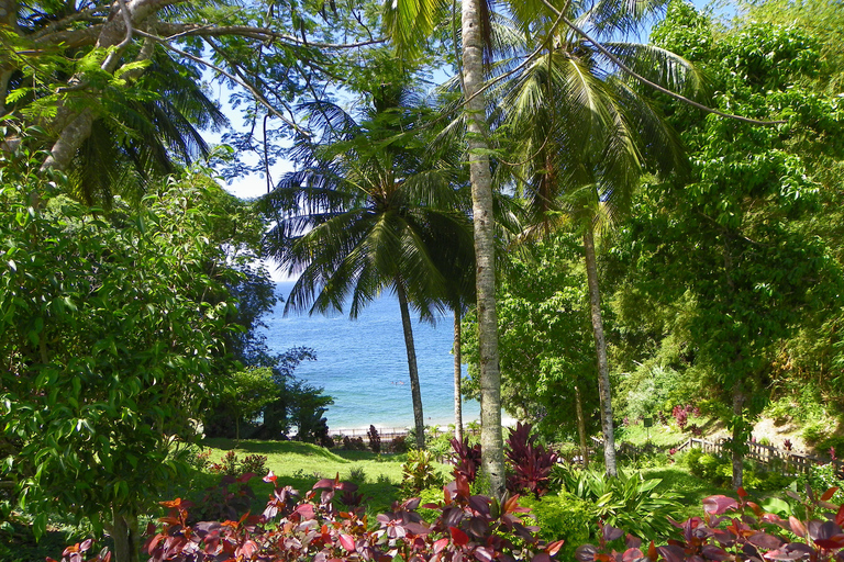 Trinidad: Zip Lining-upplevelse och panoramautsikt över Fort George