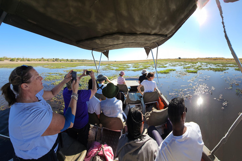 Chobe dagsutflykt i Chobe nationalpark