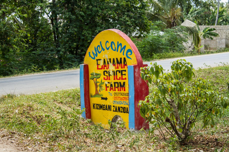 Paje: Privé Transfers van Stone Town naar PajePaje Zanzibar: Privétransfers naar Paje vanuit Stone Town