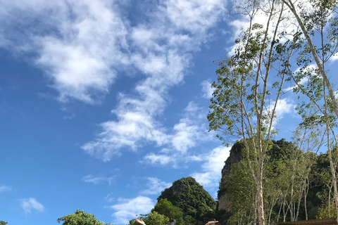 Krabi : Kayak sur l'Amazone Klong Srakaew et nourrissage des éléphants