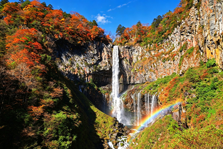 Nikko Small Group: Hotel Pickup, Kegon Falls & Toshogu Private Sightseeing Tours