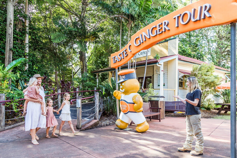 Tour VIP della fabbrica di zenzero e di Mountville da BrisbaneTour + servizio di prelievo e rientro dalla città di Brisbane