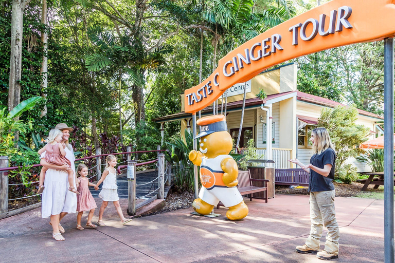 Visite VIP de l&#039;usine de gingembre et de Mountville au départ de BrisbaneCircuit + prise en charge et retour à Brisbane City