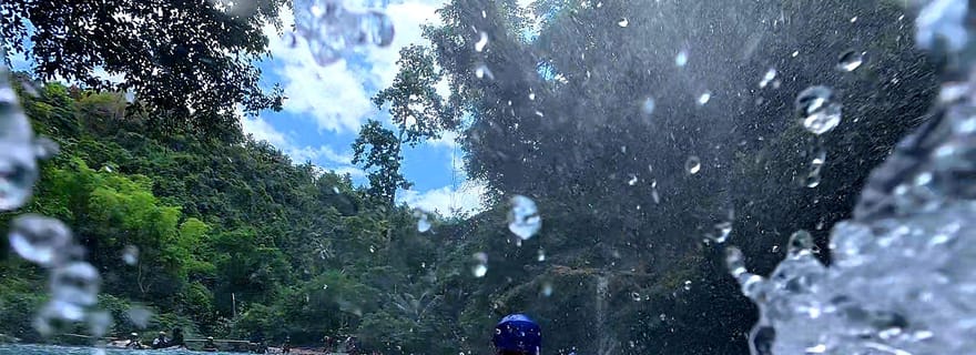 Cebu : requins baleines, chutes de Kawasan et plongée avec tuba pour observer les sardines