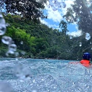 From Cebu: Moalboal Sardine Run & Kawasan Falls Canyoneering