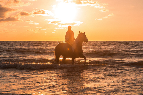 Djerba – Paardrijden naar het eiland van de flamingo&#039;sDjerba - Paardrijden naar het Roze Flamingo-eiland
