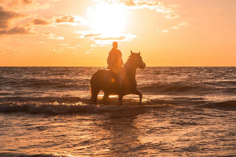Djerba – Paardrijden naar het eiland van de flamingo&#039;sDjerba - Paardrijden naar het Roze Flamingo-eiland