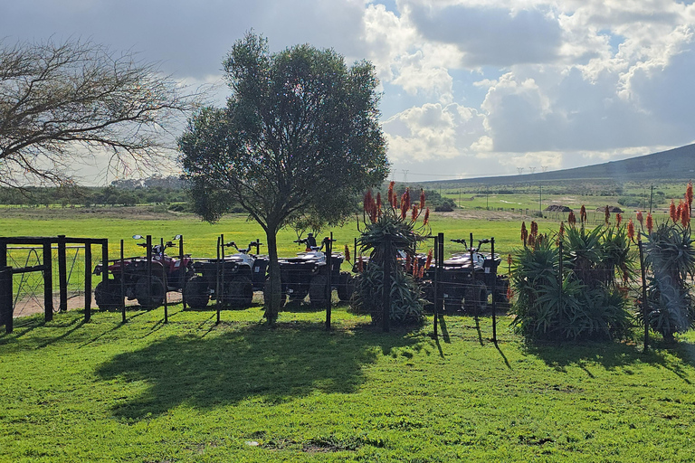 Cape Town: Ostrich Ranch Safari with Hotel Transfer