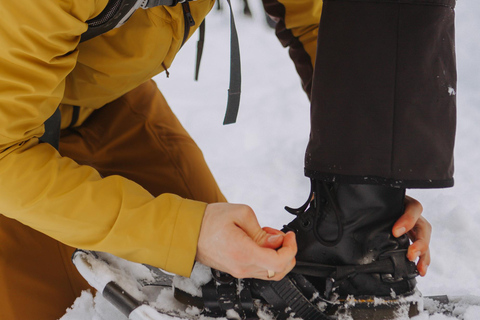 Desde Oslo Excursión guiada con raquetas de nieve por el bosque de Oslomarka