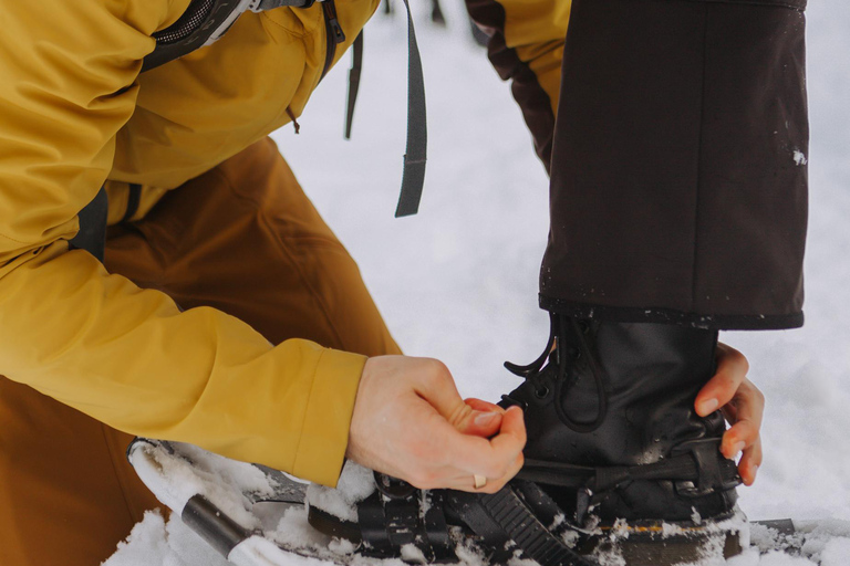 Vanuit Oslo: Sneeuwschoentocht met gids door Oslomarka ForestVanuit Oslo: begeleide sneeuwschoentocht door het bos van Oslomarka