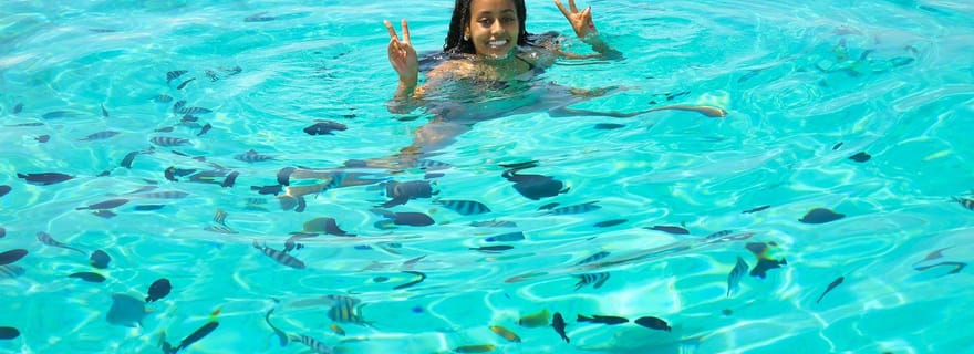 Visite privée à Zanzibar : Nager avec les dauphins et faire de la plongée avec masque et tuba à Mnemba